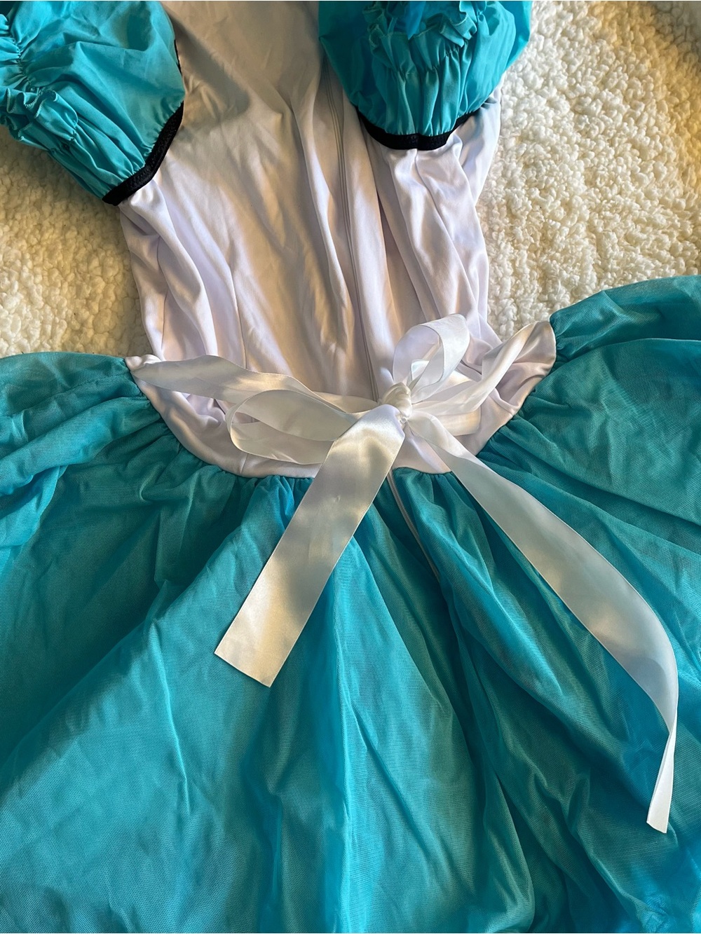 Alice In Wonderland Costume - Picture 4 of 5